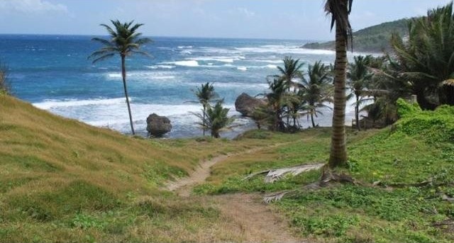 Property For Sale: Martins Bay Lot 4..