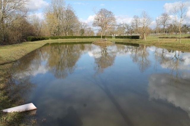 Lake with Island For Sale