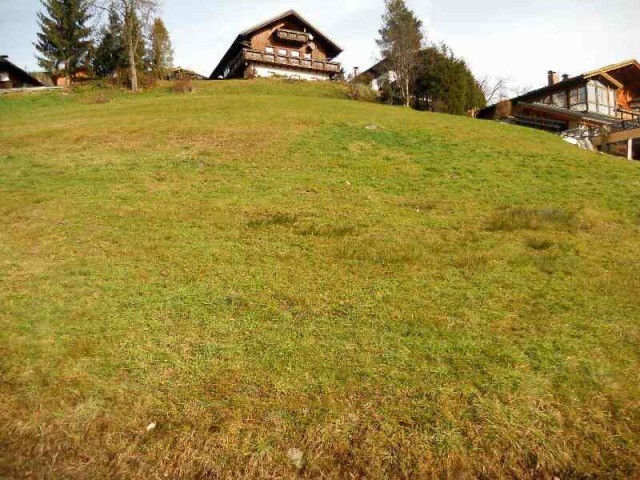 Dreamlike view over Muhlbach at the.. - 2