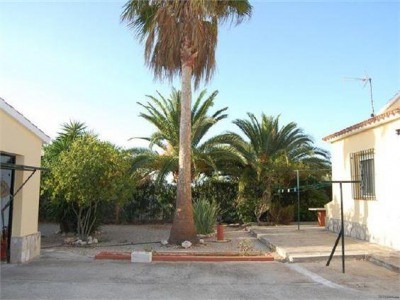 Ref.222 Finca e-PR. VILLA, OLIVA