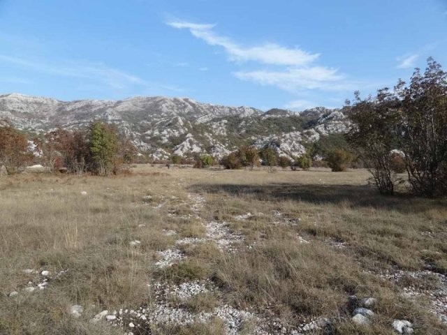 Land in Dragalj, Kotor