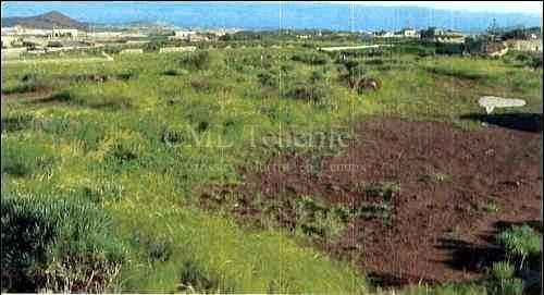 Plot in Granadilla De Abona