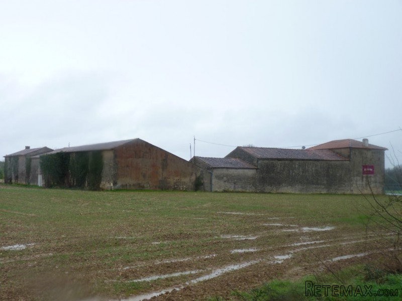 Stone House For Sale Matha - 2