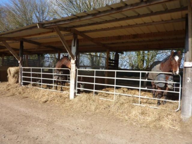 Ideal Equestrian Property