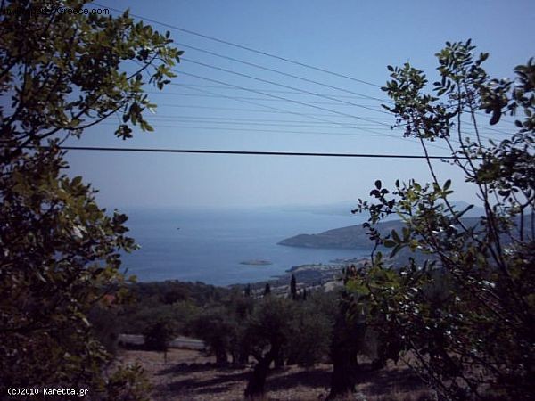 Land - Zakynthos - For Sale