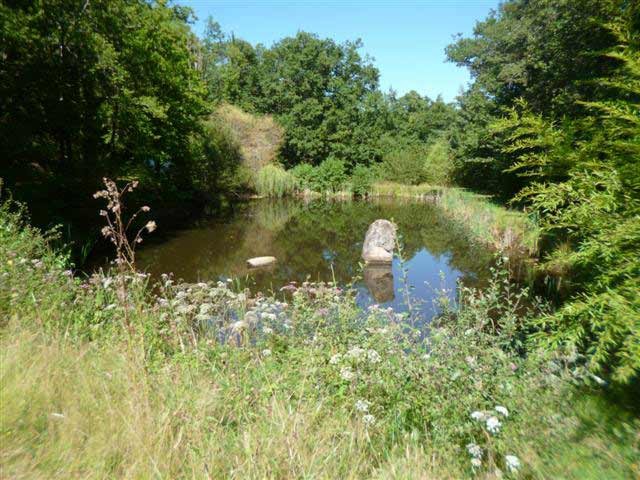Fishing Lake With Pond And Caravan At..