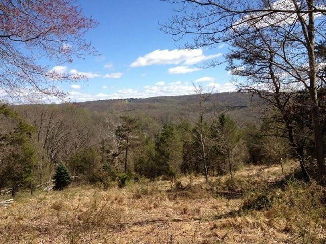 Land For Sale: 0 Mosle Road - 2