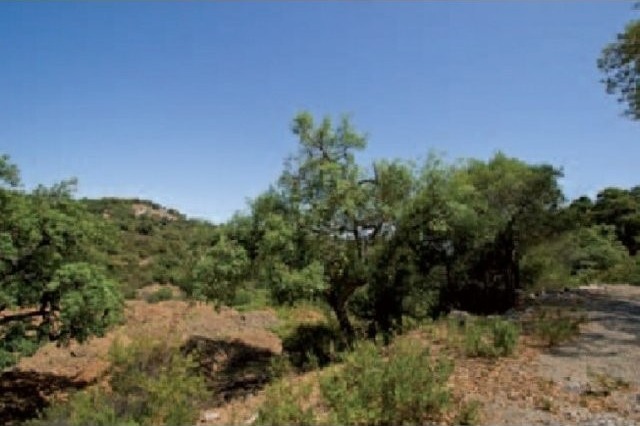 Huge Plot of Land For Sale - 2