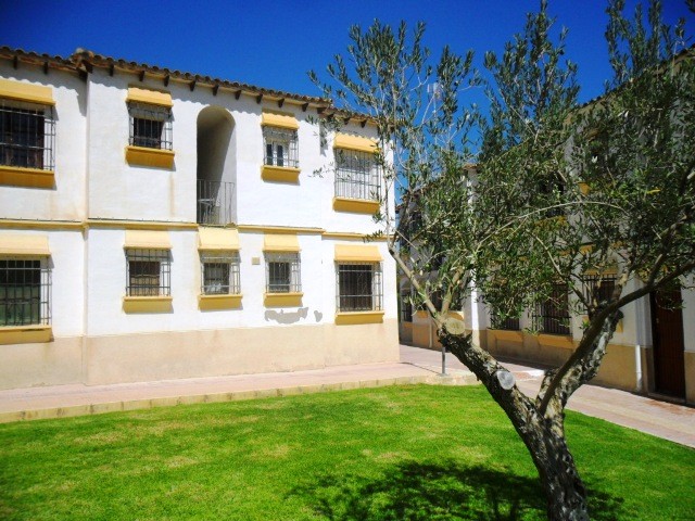 1st floor 1 bedroom apartment in San.. - 2