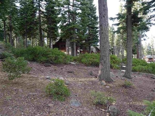 Land For Sale: Truckee, California