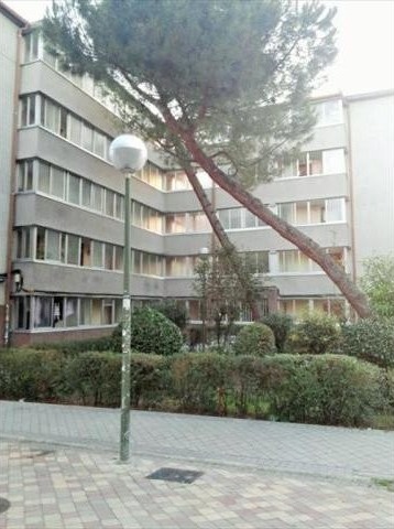 Piso en venta en Madrid, Madrid (Madrid)