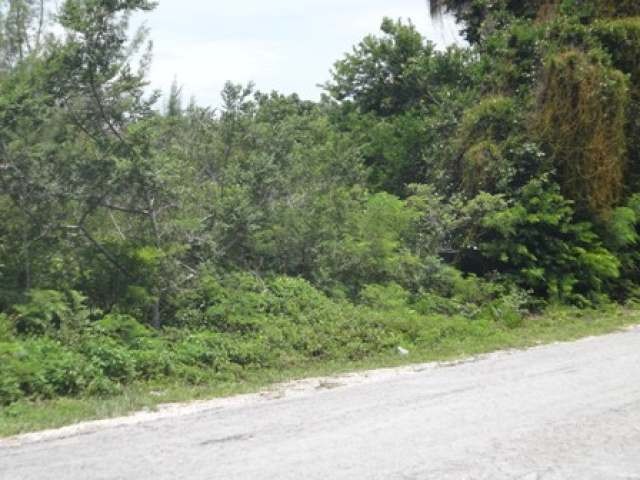 Singlefamilyvacant - Multifamily lot in..