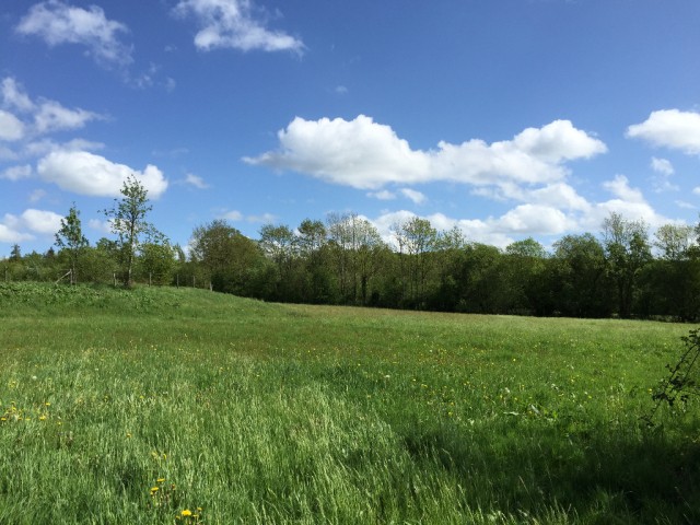 Longere on 4 Hectares, Pond - 2