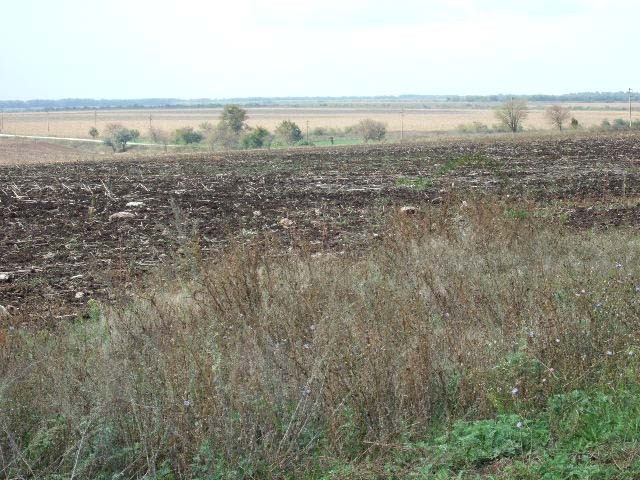 Land in Durankulak, Shabla - 2