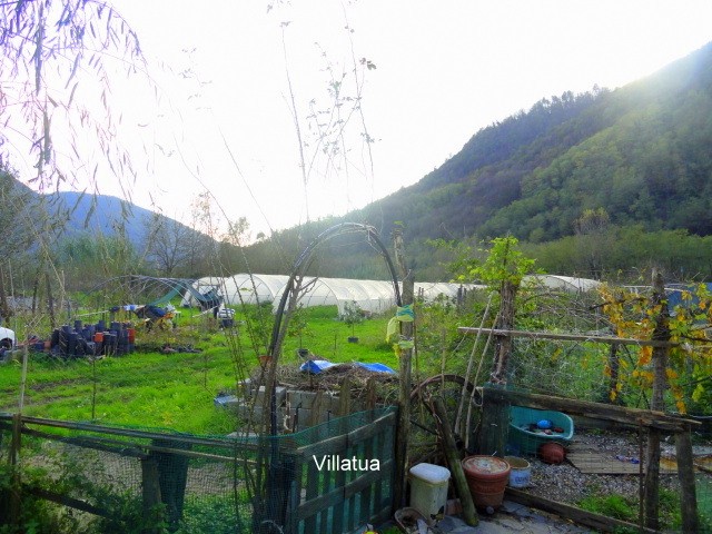 Country/farmhouse - For Sale - North of.. - 2
