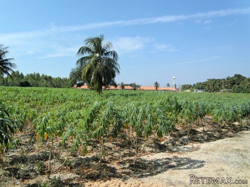 Plot of land near Polo Club, Horseshoe.. - 2