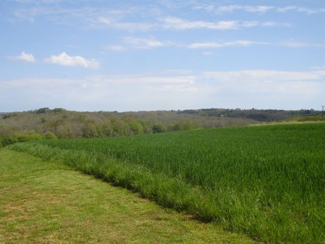 28078 - Vente - Terrain - Vergt