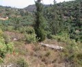 Plot On A Small Hill In Apokorona