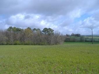DORDOGNE land constructable of 5000 m2 - 2