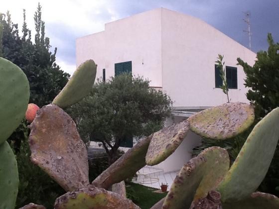Property in Sicily