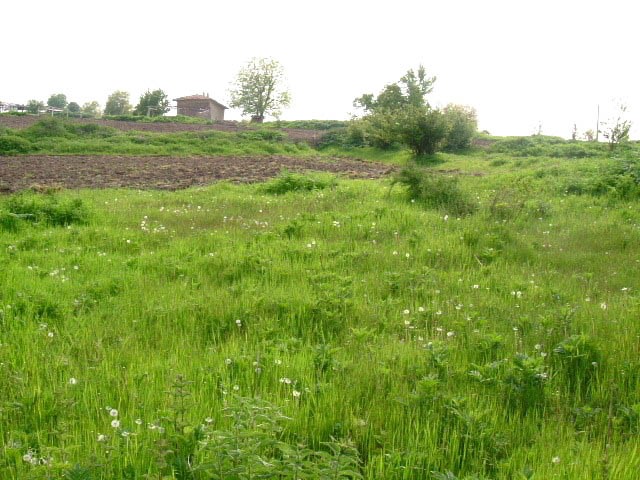 Land in Dryanovets, Dobrich - 2
