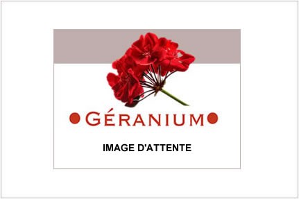Studio Appartement, St Jean d Aulps - A..