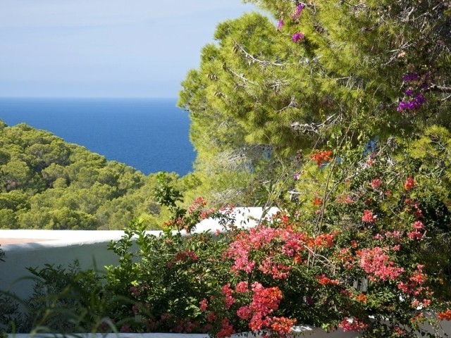 Plot With Sea View And License To Build