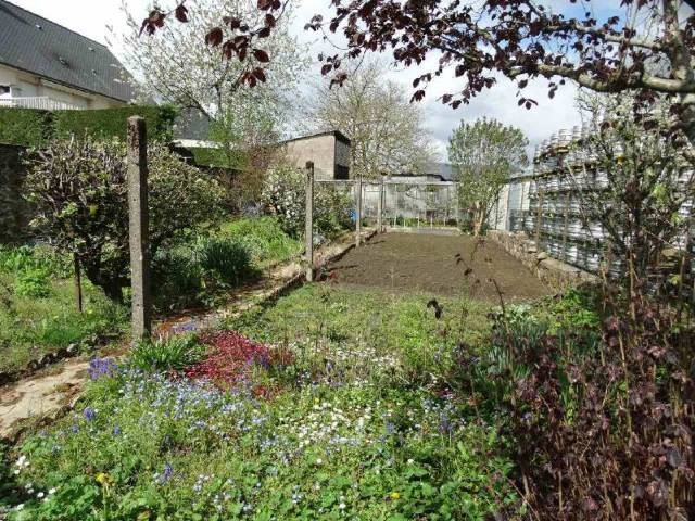 Large Village House, Ideal Family Home - 2