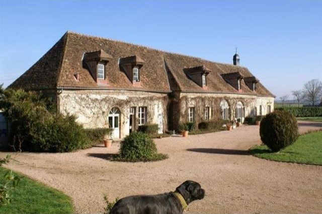 15 bedroom Castle For Sale: 03000 ALLIER - 2