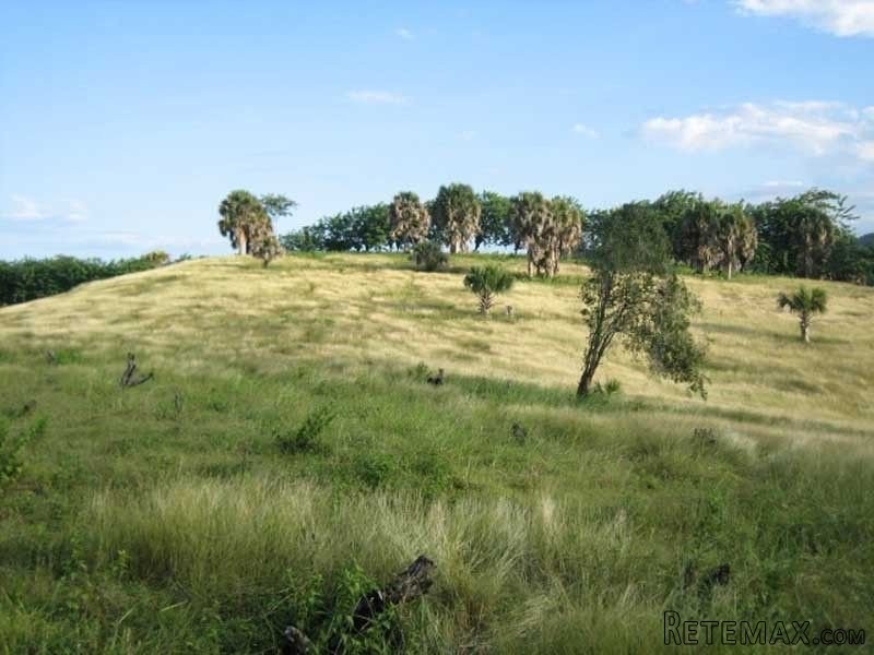 Farmland In Cabarete