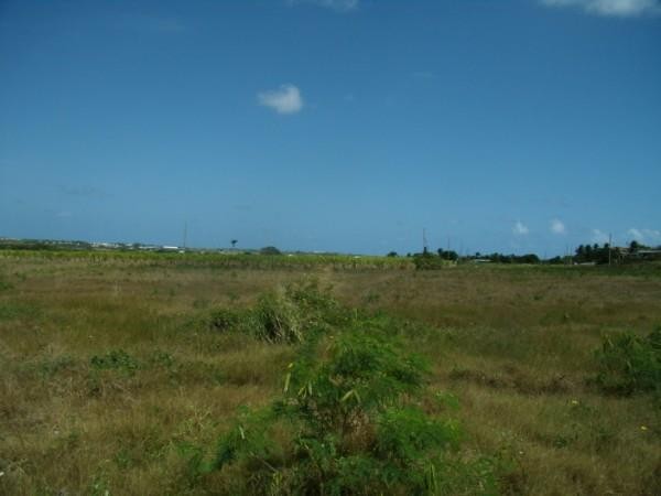Property For Sale: Yorkshire Lot 2D..