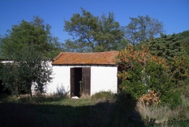 BETWEEN NATURE AND ARCHAEOLOGY