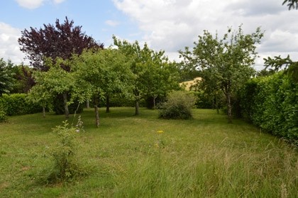 Super building plot of 3023m² - 5 mins.. - 2
