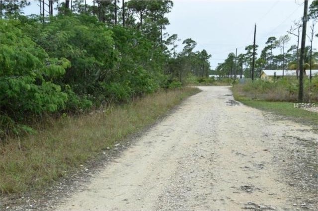 Land For Sale: Curtis Rd, Freeport, OC.. - 2