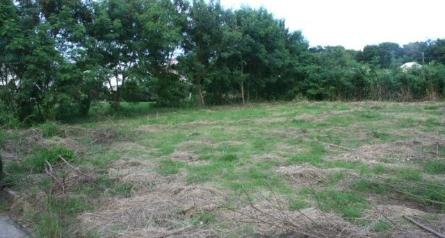 Property For Sale: Westport Lot, St... - 2