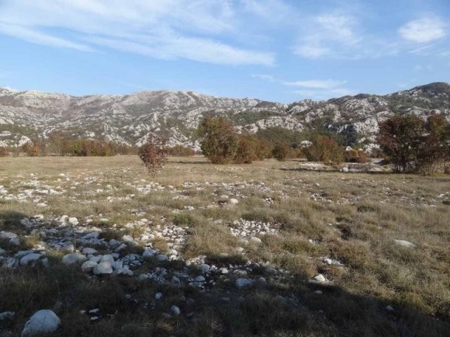 Land in Dragalj, Kotor - 2