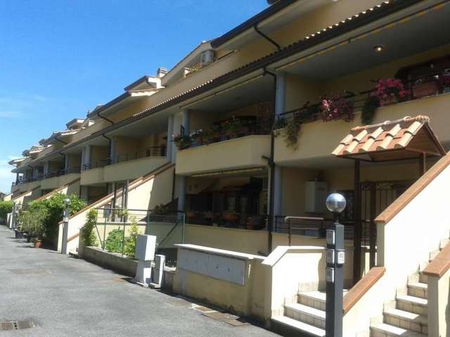 CAPENA, LATEST AVAILABILITY