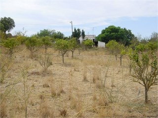 Plot - Silves - Algarve - for sale