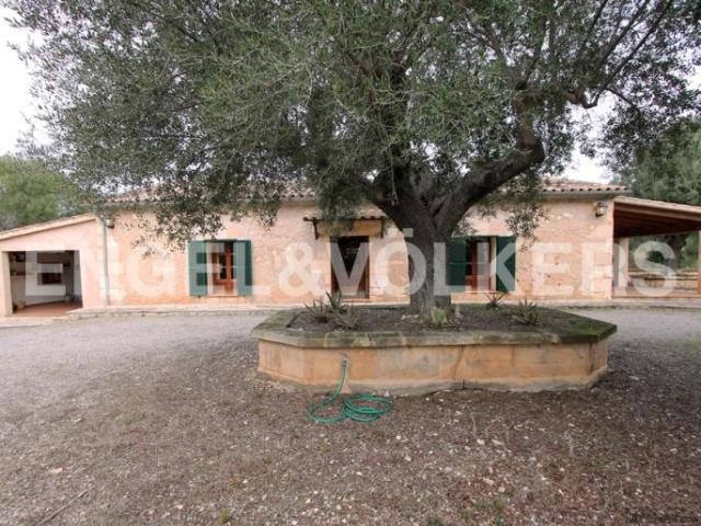 Rustic estate in San Lorenzo
