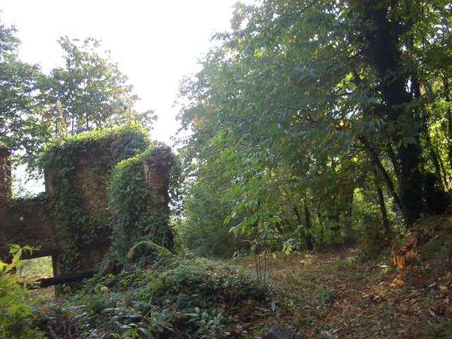 Country/farmhouse - For Sale - Hills.. - 2
