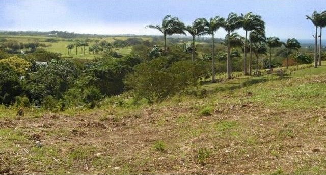 Property For Sale: Westmoreland Ridge.. - 2