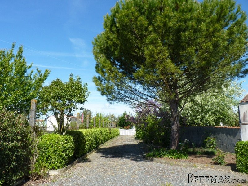 Stone House For Sale Saint Jean D'Angely - 2