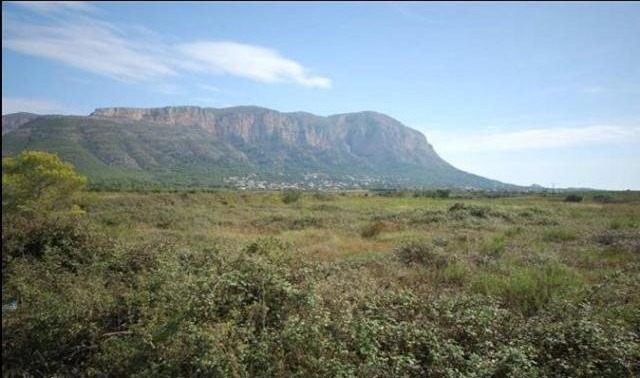 Plot For Sale Jesus Pobre - Ref: 1838