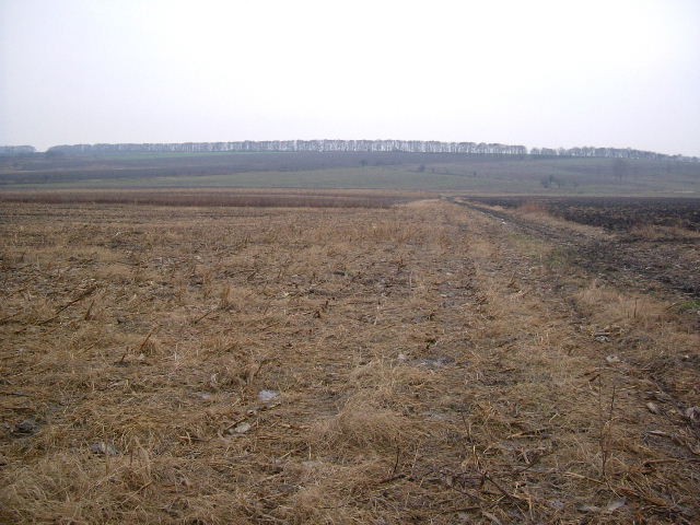 Land in Kotlentsi, Dobrich - 2