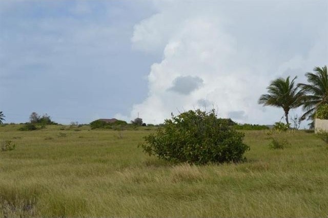 Property For Sale: Green Point Cliff.. - 2