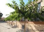 Bungalow, Alicante (Costa Blanca)..