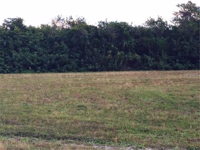 Land For Sale: 17416 Fuego Ln, Punta..