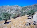 Sea View Plot For Sale In South Crete - 2