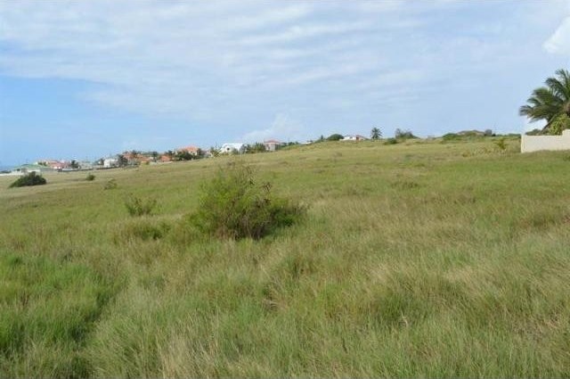 Property For Sale: Green Point, Turtle.. - 2