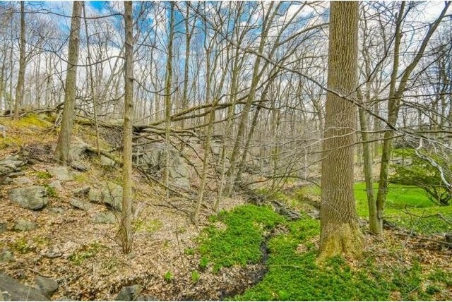 Land For Sale: Harrison, New York - 2